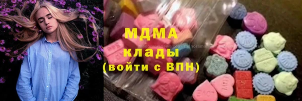 гидра Краснослободск