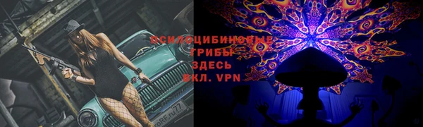 шишки Бронницы