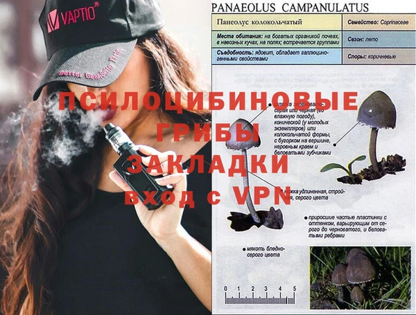 гидра Краснослободск