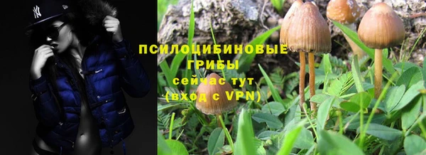прущая мука Братск
