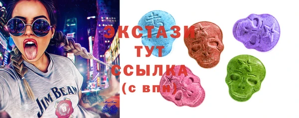 гидра Краснослободск