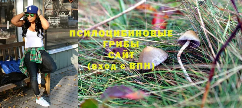 Галлюциногенные грибы Psilocybine cubensis Яровое