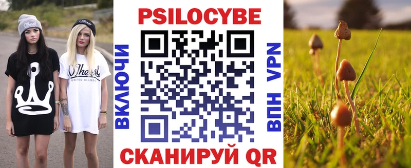 Галлюциногенные грибы мицелий  купить закладку  Яровое 