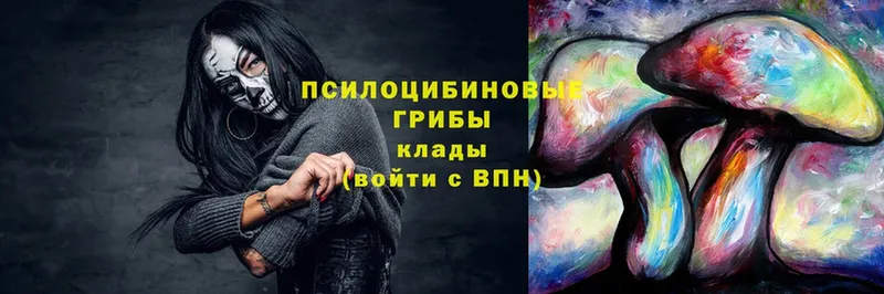 купить  цена  Яровое  Псилоцибиновые грибы прущие грибы 